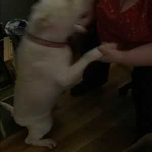 Meet your Posher, Aiden